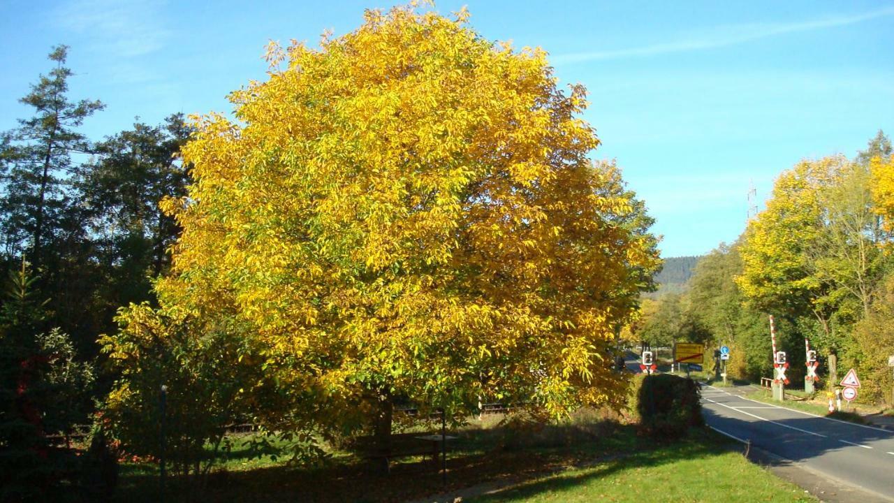 Haus Am Teutoburgerwald Appartement Sandebeck Buitenkant foto
